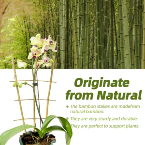10 Pack Bamboo Trellis